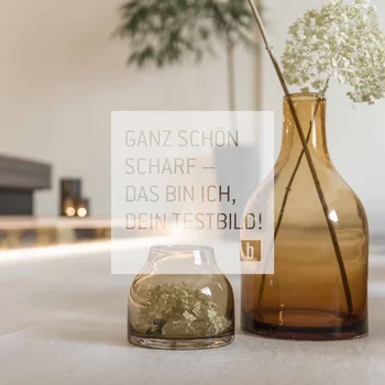 Zwei braune Glasvasen mit weißen Blumen auf einem Tisch in einem Wohnzimmer