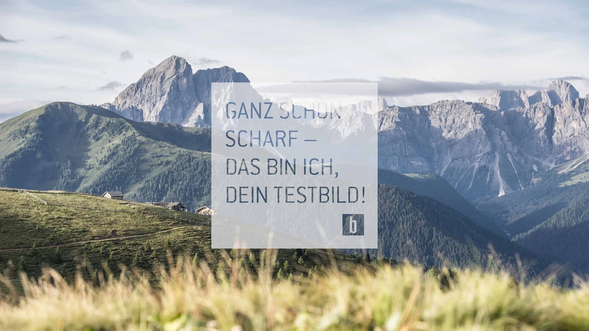 Grüne Alpenwiese mit Hütten und Bergen im Hintergrund bei klarem Himmel