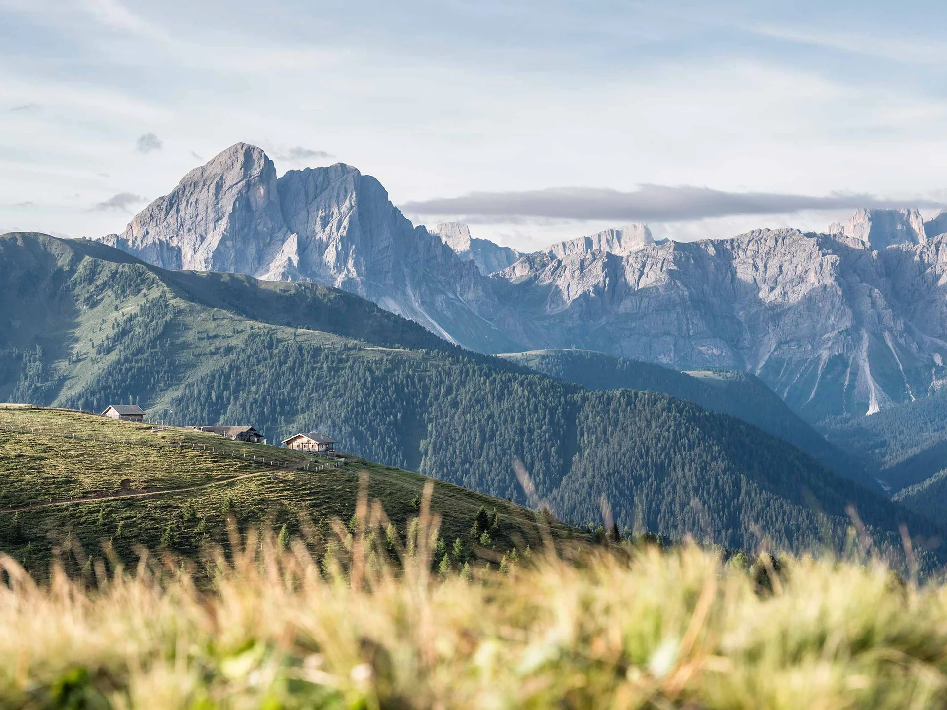 Home Prato alpino verde con baite e montagne sullo sfondo sotto un cielo sereno