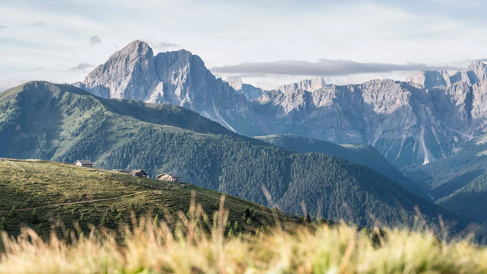 Grüne Alpenwiese mit Hütten und Bergen im Hintergrund bei klarem Himmel
