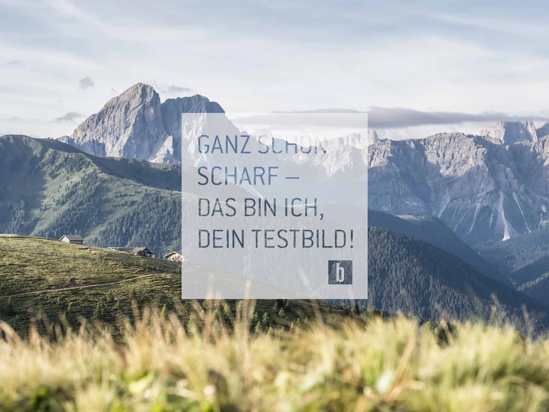 Green alpine meadow with huts and mountains in the background under clear sky