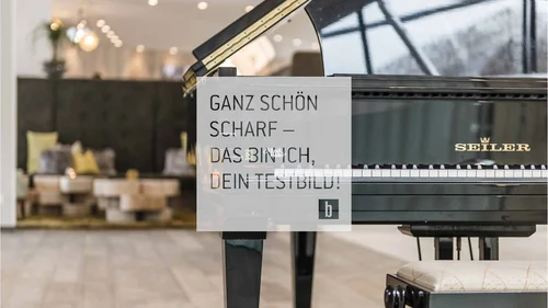 Schwarzer Seiler Flügelklavier in modern eingerichteten Raum mit Sitzgelegenheiten