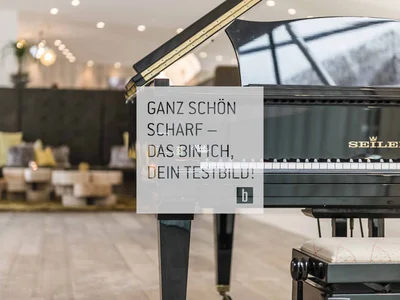 Pianoforte a coda nero Seiler in stanza moderna con sedute sullo sfondo