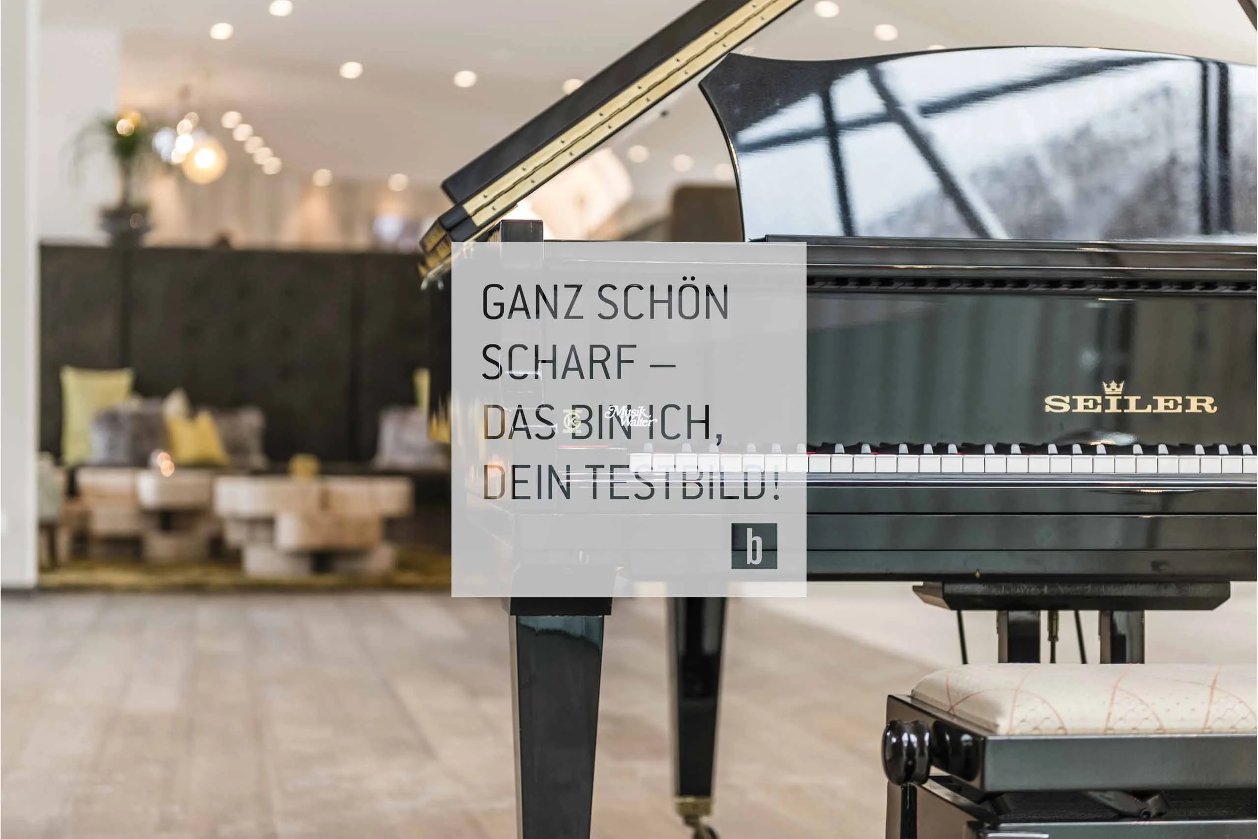 Pianoforte a coda nero Seiler in stanza moderna con sedute sullo sfondo