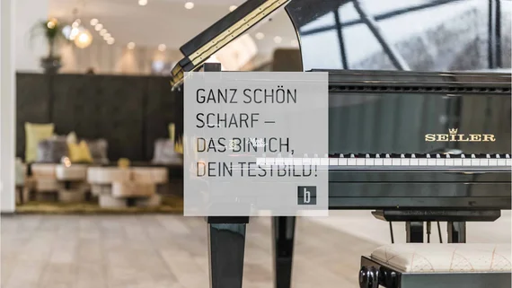 General Schwarzer Seiler Flügelklavier in modern eingerichteten Raum mit Sitzgelegenheiten