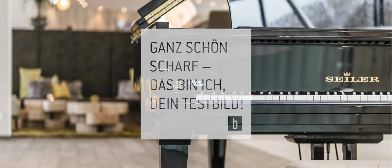 Schwarzer Seiler Flügelklavier in modern eingerichteten Raum mit Sitzgelegenheiten