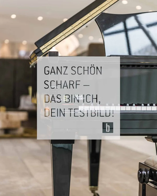 Schwarzer Seiler Flügelklavier in modern eingerichteten Raum mit Sitzgelegenheiten