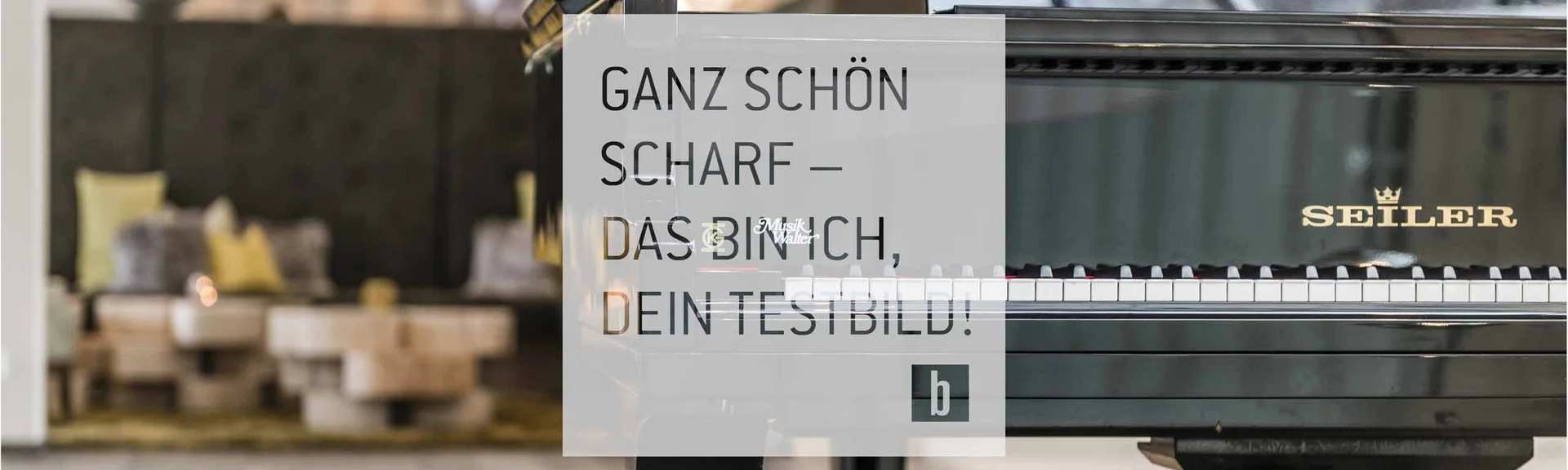 Schwarzer Seiler Flügelklavier in modern eingerichteten Raum mit Sitzgelegenheiten