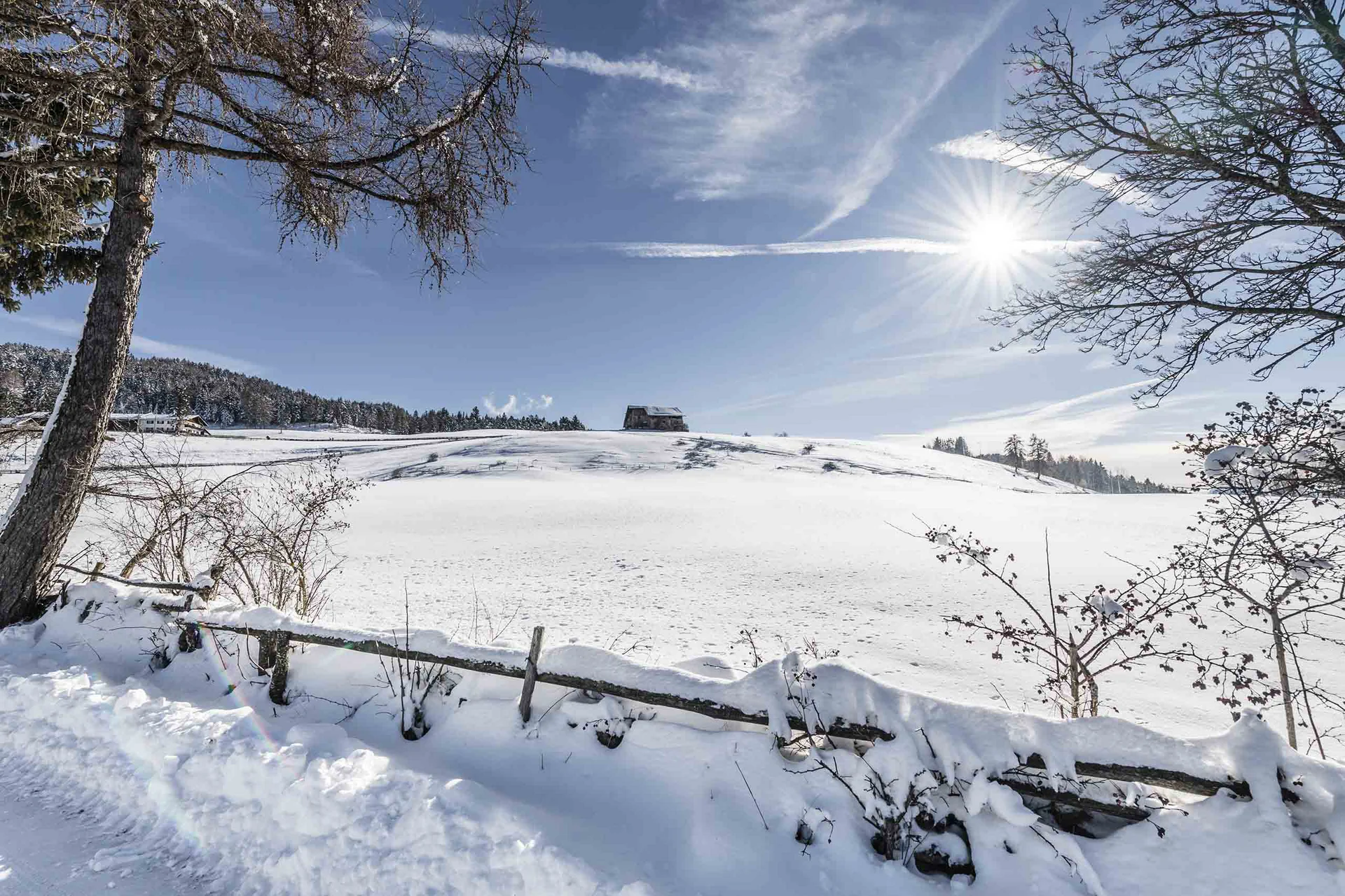 Schneebedeckte Landschaft mit Sonne und blauem Himmel
