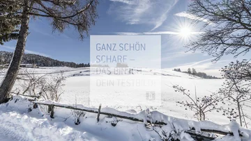 Winter Schneebedeckte Landschaft mit Sonne und blauem Himmel