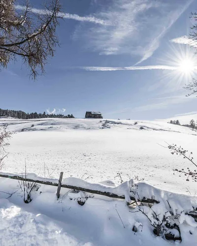 Schneebedeckte Landschaft mit Sonne und blauem Himmel