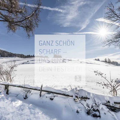 Schneebedeckte Landschaft mit Sonne und blauem Himmel