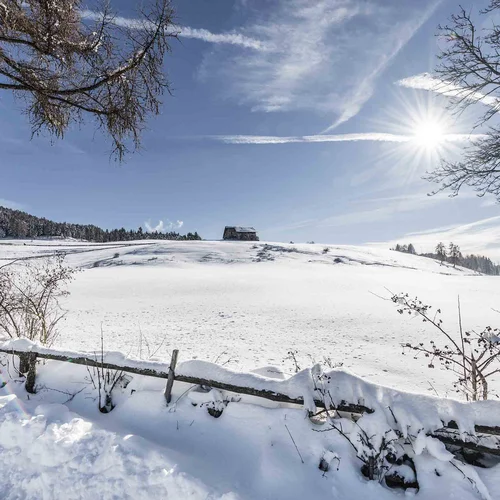 Schneebedeckte Landschaft mit Sonne und blauem Himmel