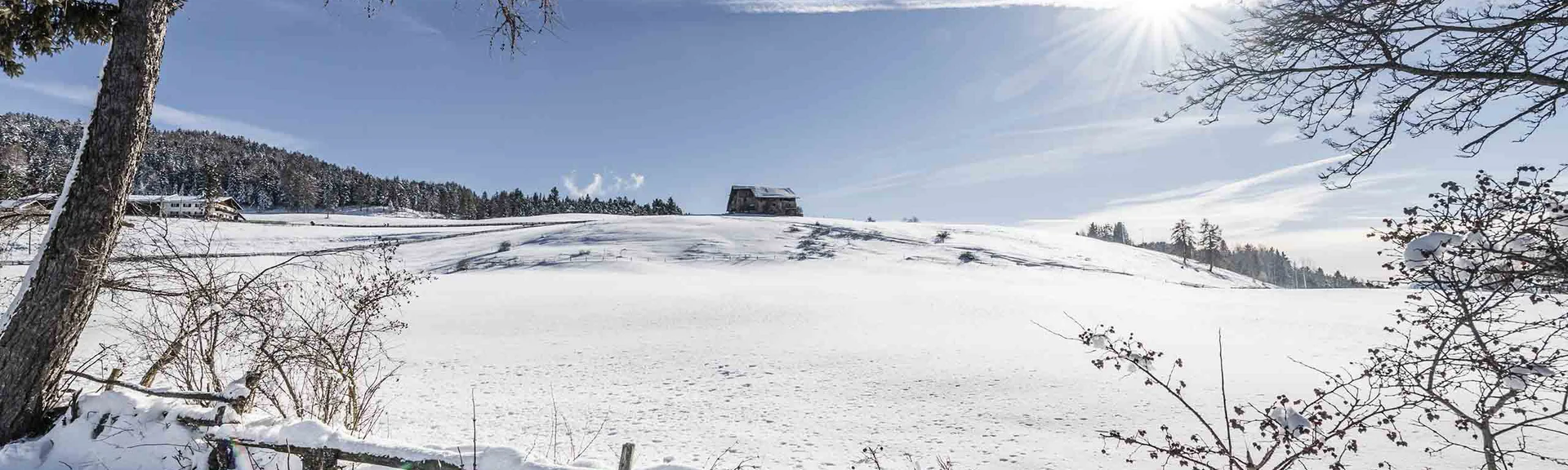 Schneebedeckte Landschaft mit Sonne und blauem Himmel