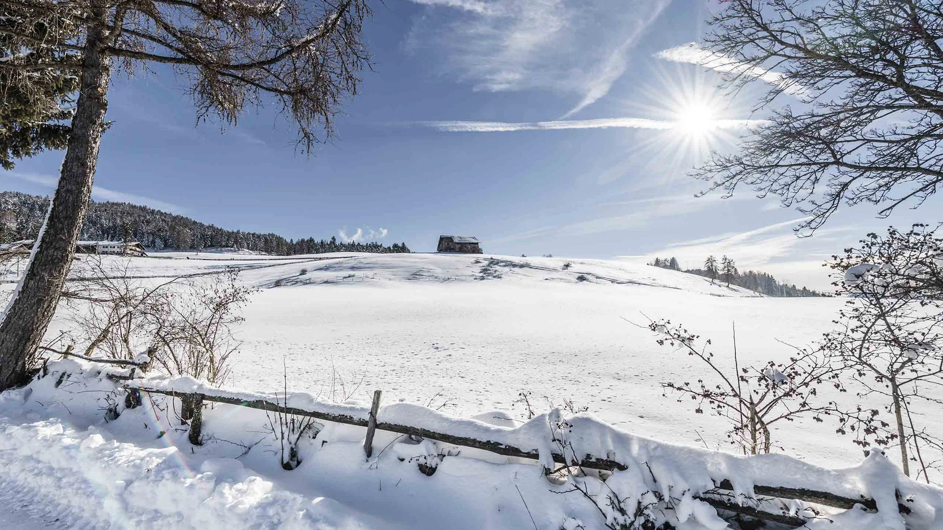 Schneebedeckte Landschaft mit Sonne und blauem Himmel