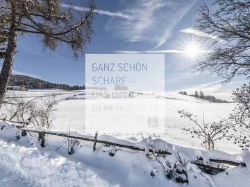 Winter Schneebedeckte Landschaft mit Sonne und blauem Himmel