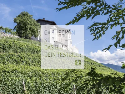 Blick auf ein Schloss mit Weinterrassen und blauem Himmel
