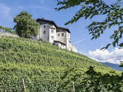 Blick auf ein Schloss mit Weinterrassen und blauem Himmel