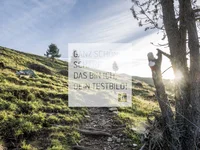 Beispielaufbau einer Unterseite Waldweg mit Baum und Sonnenlicht am Hang eines grünen Hügels