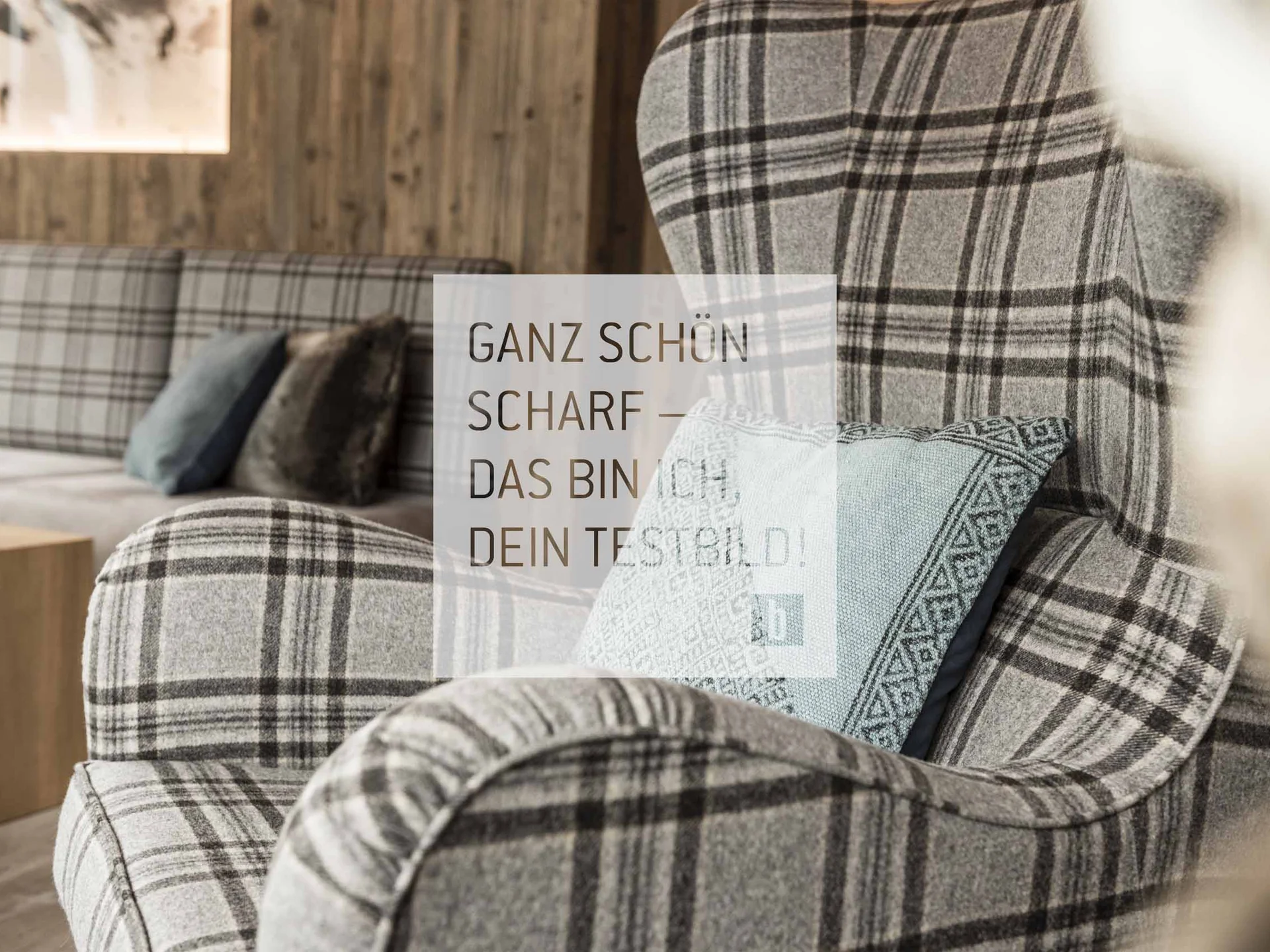 Gemütlicher Sessel mit kariertem Stoff und Zierkissen in modernem Wohnzimmer