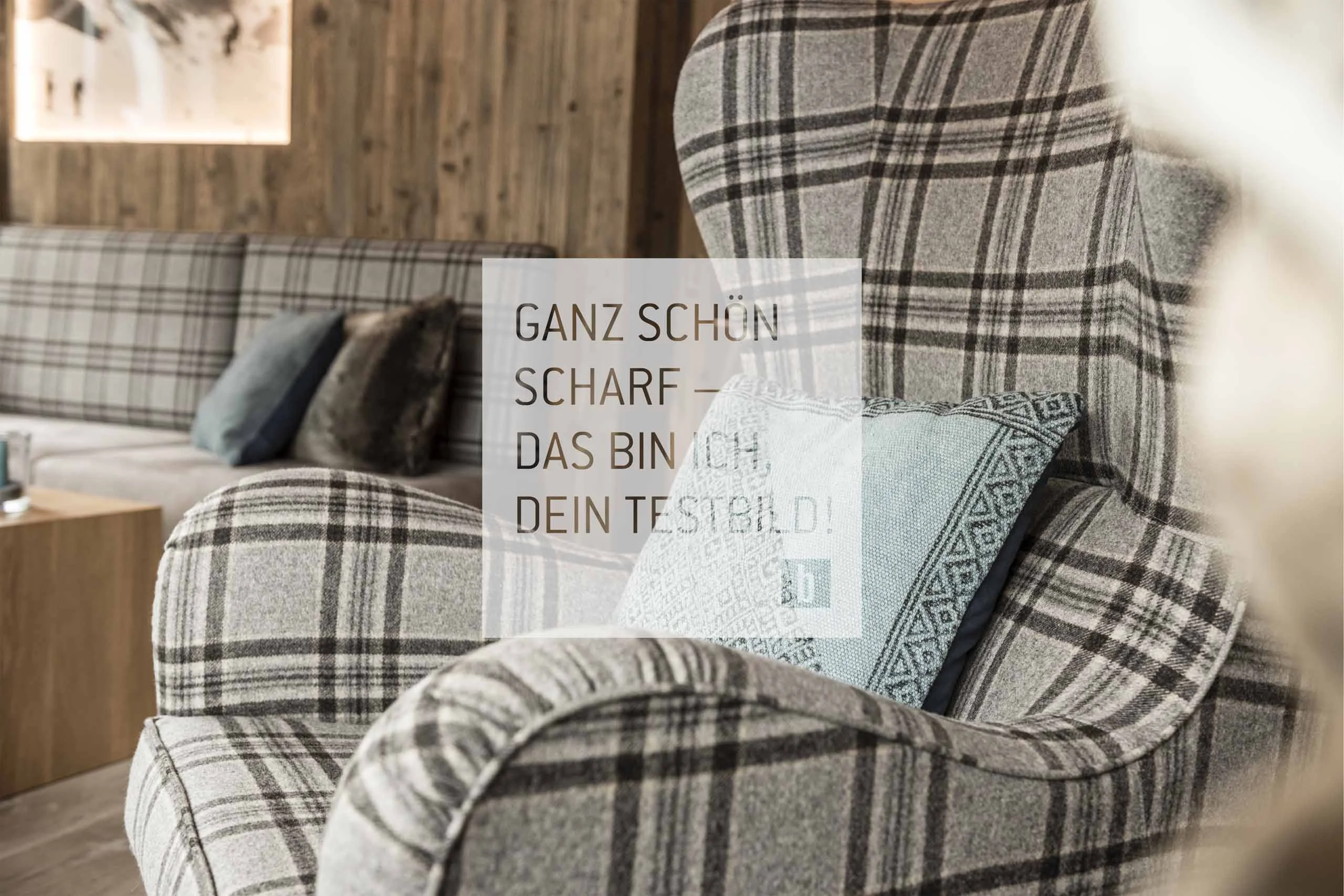 Gemütlicher Sessel mit kariertem Stoff und Zierkissen in modernem Wohnzimmer
