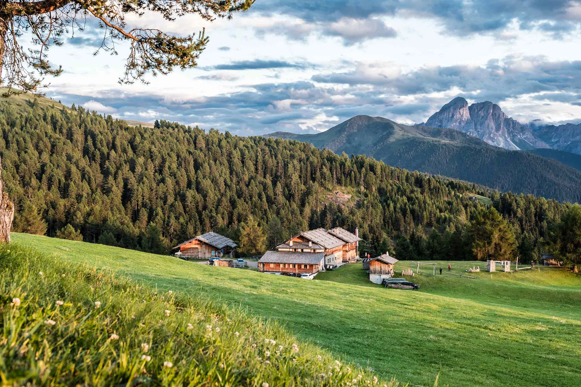 Berglandschaft mit Wald, Häusern und wolkigem Himmel