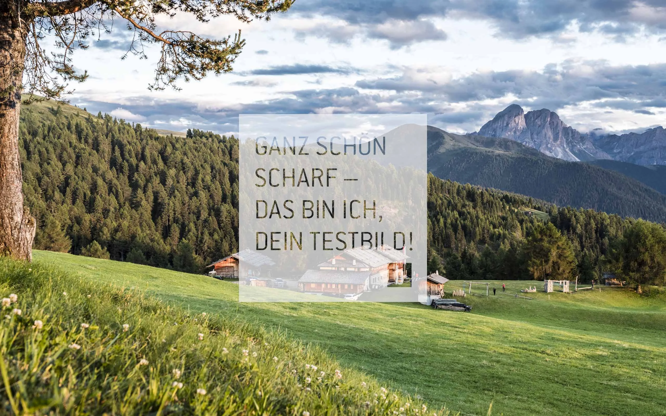 Beispielaufbau einer Unterseite Berglandschaft mit Wald, Häusern und wolkigem Himmel