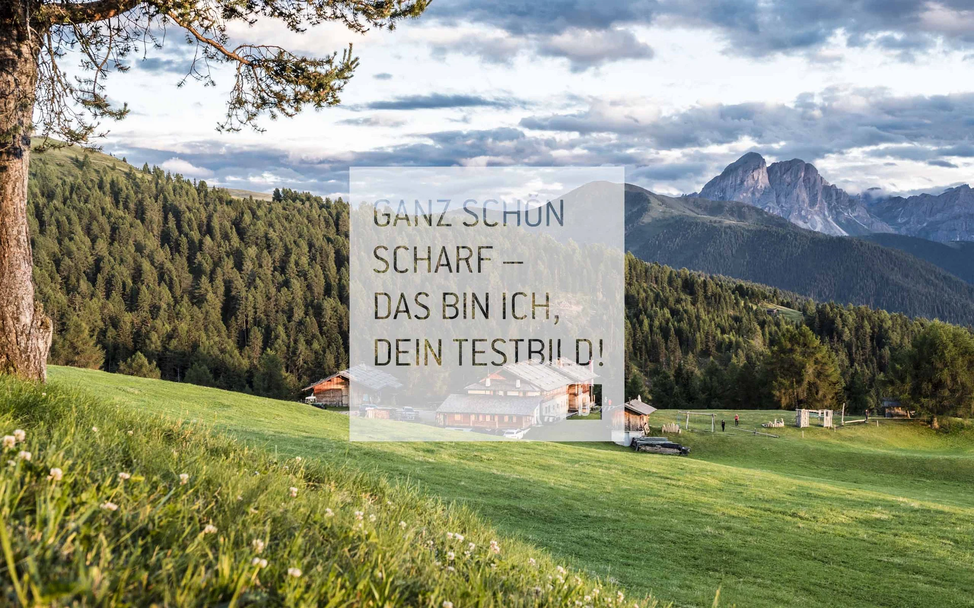 Berglandschaft mit Wald, Häusern und wolkigem Himmel