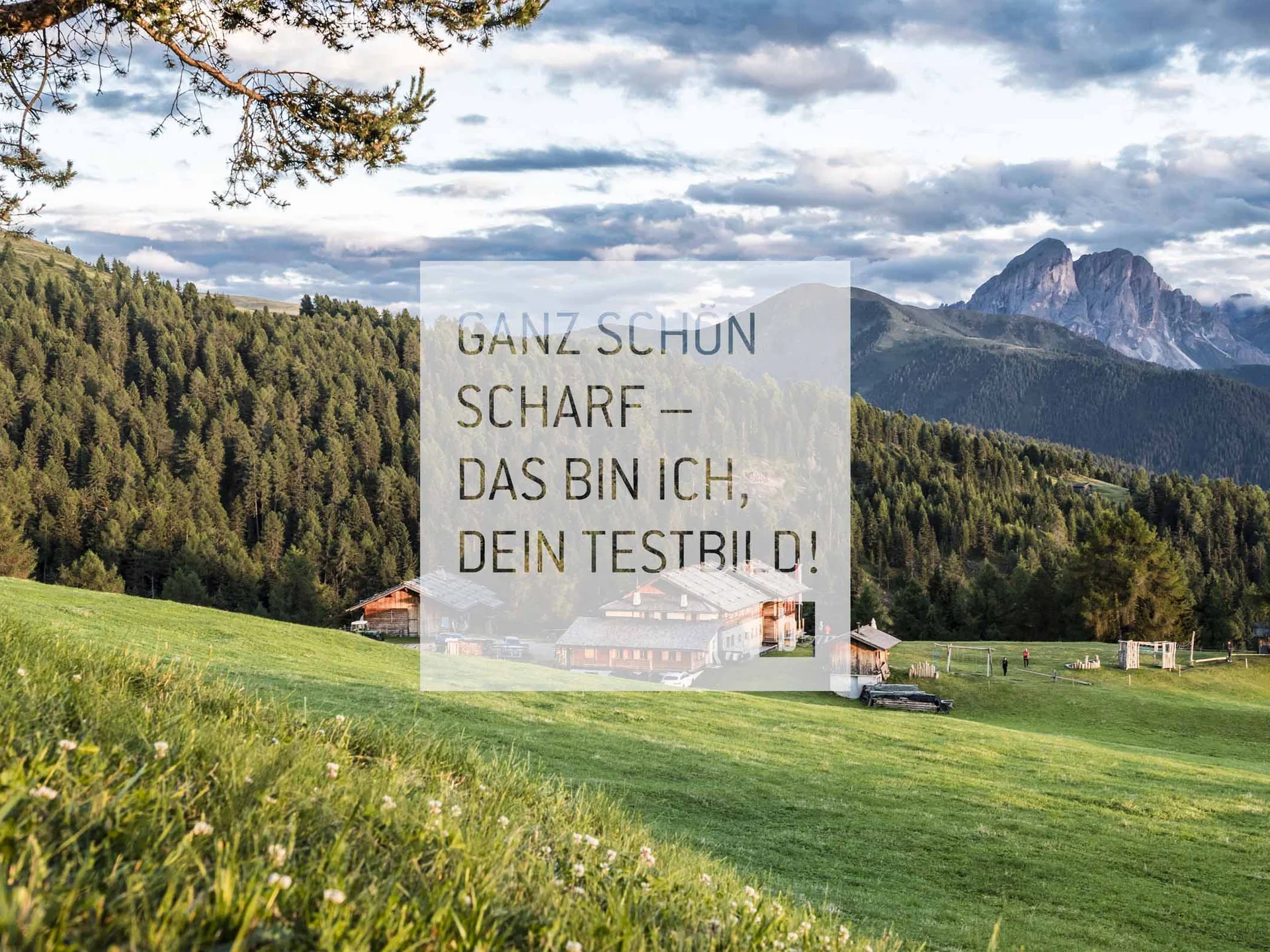 Berglandschaft mit Wald, Häusern und wolkigem Himmel