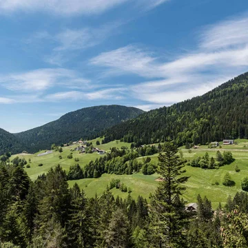 Berge und Wald mit blauem Himmel und Text in deutscher Sprache