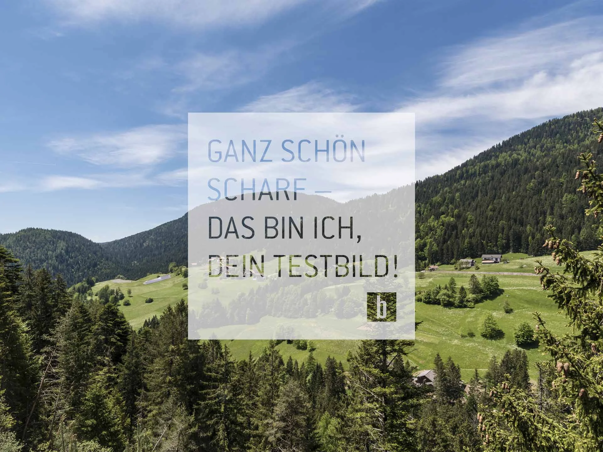 Berge und Wald mit blauem Himmel und Text in deutscher Sprache