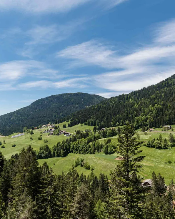 Berge und Wald mit blauem Himmel und Text in deutscher Sprache