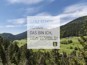 Berge und Wald mit blauem Himmel und Text in deutscher Sprache