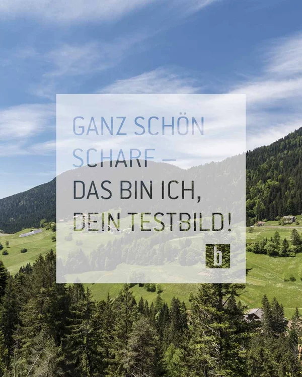 Berge und Wald mit blauem Himmel und Text in deutscher Sprache