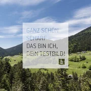 Berge und Wald mit blauem Himmel und Text in deutscher Sprache