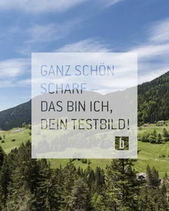 Berge und Wald mit blauem Himmel und Text in deutscher Sprache