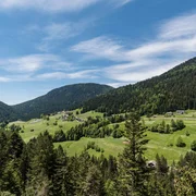 Berge und Wald mit blauem Himmel und Text in deutscher Sprache