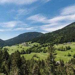 Berge und Wald mit blauem Himmel und Text in deutscher Sprache