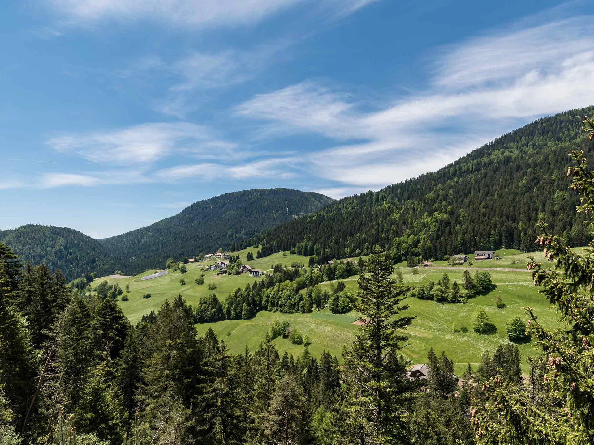 Berge und Wald mit blauem Himmel und Text in deutscher Sprache