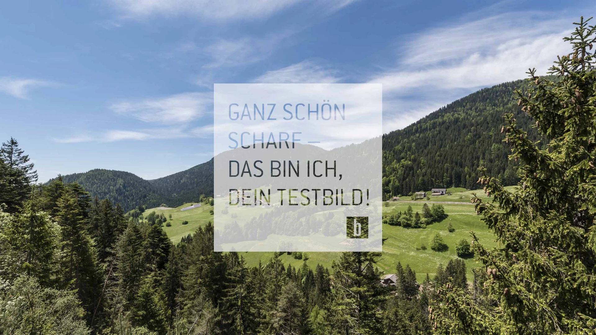 Berge und Wald mit blauem Himmel und Text in deutscher Sprache