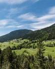 Berge und Wald mit blauem Himmel und Text in deutscher Sprache
