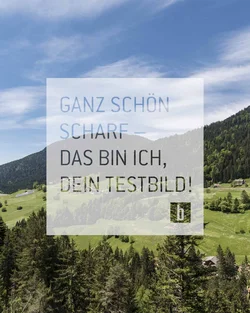 Berge und Wald mit blauem Himmel und Text in deutscher Sprache