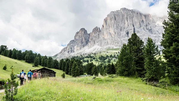 Wanderer auf einem Pfad in einer grünen Berglandschaft mit Tannenbäumen