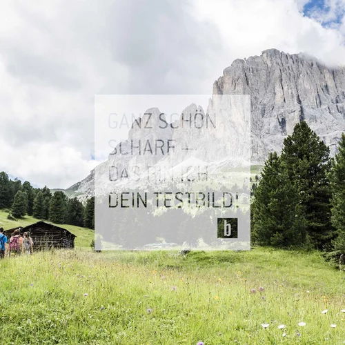 Wanderer auf einem Pfad in einer grünen Berglandschaft mit Tannenbäumen