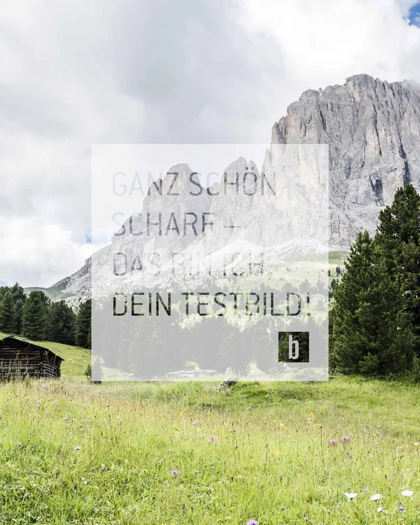 Summer Wanderer auf einem Pfad in einer grünen Berglandschaft mit Tannenbäumen