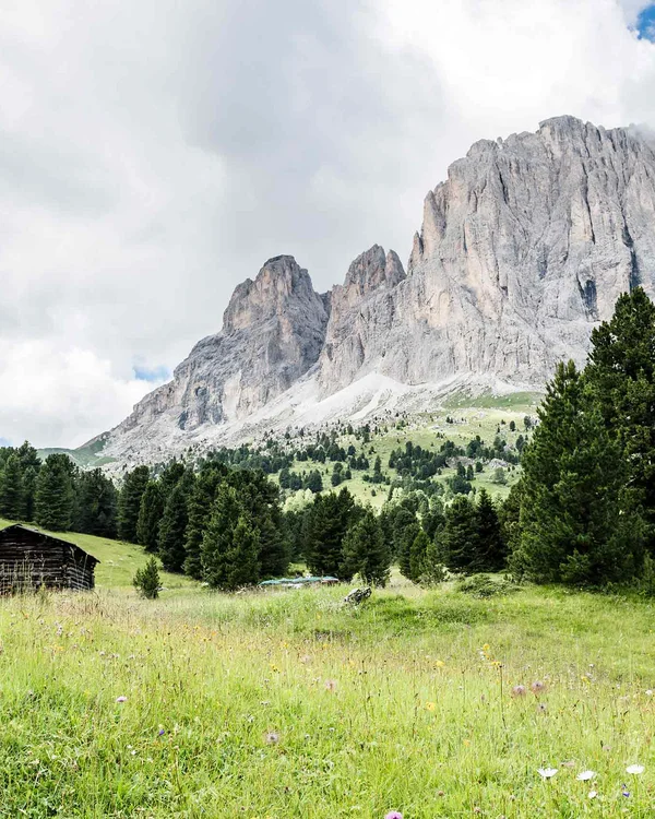 Wanderer auf einem Pfad in einer grünen Berglandschaft mit Tannenbäumen