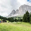 Wanderer auf einem Pfad in einer grünen Berglandschaft mit Tannenbäumen