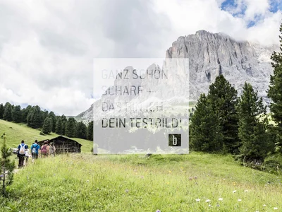 Wanderer auf einem Pfad in einer grünen Berglandschaft mit Tannenbäumen