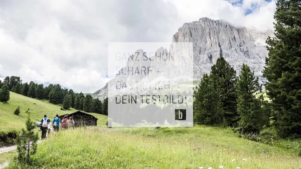 Wanderer auf einem Pfad in einer grünen Berglandschaft mit Tannenbäumen