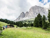 Wanderer auf einem Pfad in einer grünen Berglandschaft mit Tannenbäumen